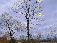 -良渚古城遗址公园