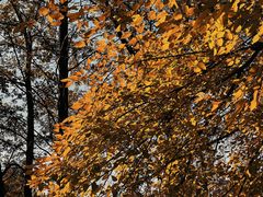 -蜀冈西峰生态公园