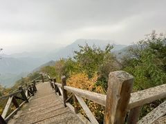 -大岭沟猕猴桃谷风景区