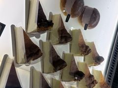 -LANLIZI BAKERY(COSMO店)