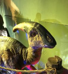 -恐龙探索乐园(磁器口店)