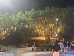 -广州长隆国际大马戏