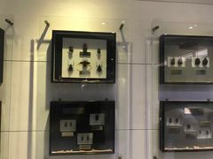 -上海昆虫博物馆