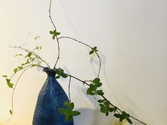 -坂田手造文化街