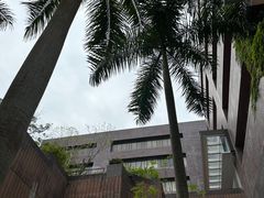 -香港大学