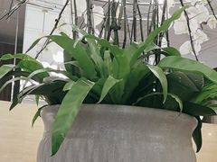 -鹿港小镇(霄云店)