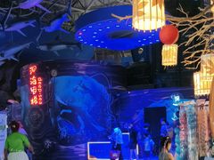 -烟台海昌鲸鲨海洋公园