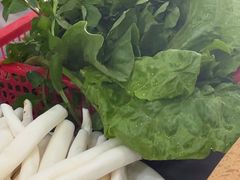 -濠轩阁特色生蚝火锅(水湾路店)