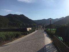 -龙坞茶村