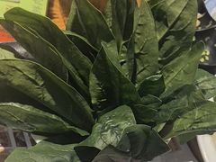 -清真·京华源铜锅涮肉(丰庆店)