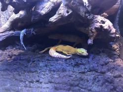 -酷嗒动物文化乐园(cutezoo西溪乐天城店)