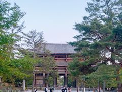 -奈良公园