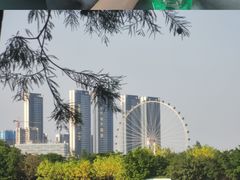 -顺峰山公园