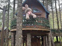 -洛阳白云山景区