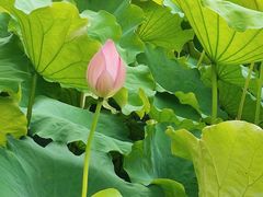 -丝绸小镇荻港古村