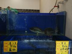 水产区-宏天寶·北京烤鸭(宾馆西路2店)