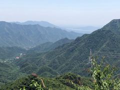 -大岭沟猕猴桃谷风景区