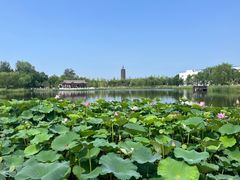 -西海子公园