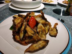 -老伙记海鲜码头(北滘店)