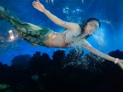 -涛·海底餐厅·美人鱼·自助餐·海底隧道(三亚海棠湾洲际度假酒店)