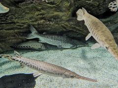 -多彩贵州城极地海洋世界