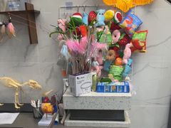 -半岛宠物医院24小时·内窥镜·牙科·碎石中心(府城大道店)