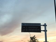 -合肥滨湖国家森林公园