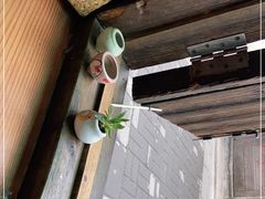 -阿木舂记·特色小吃(平江路店)