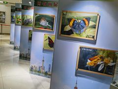 -上海昆虫博物馆