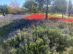 -长春公园(普阳街道)