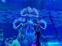 -波塞冬旅游度假区