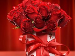 -林口邵胖子大鹅(新安街东五店)