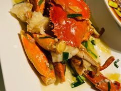 -碧丽宫大酒店(召稼楼店)