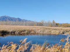 -野鸭湖国家湿地公园