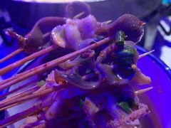 -蛙来哒(友谊阳光城店)