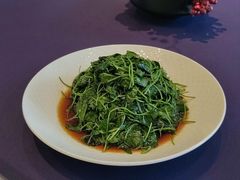-百盛·鼎膳(中海财富中心)