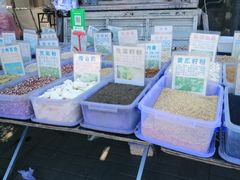 -蒲河大集