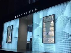 -BLACKSWAN黑天鹅(环球店)