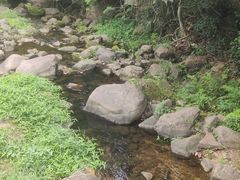 -马峦山郊野公园