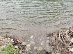 -白河湾生态旅游一条川
