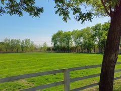 -北京群众马术培训基地