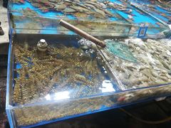 -济南海鲜大市场