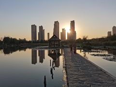 -前关湿地公园
