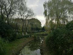 -昆山城市生态森林公园