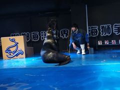 -邯郸海洋世界