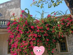 -赤坎·广东华侨国际旅游度假区