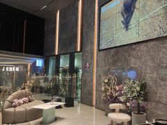 -上海金逸影城(静安大悦城店（原新恒星影城）)