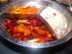 奔驰锅-大龙燚火锅(五一广场店)