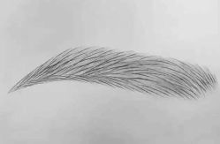 -MIVI野生眉纹绣纹眉