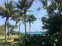 -亚龙湾喜来登·美景台大堂吧
